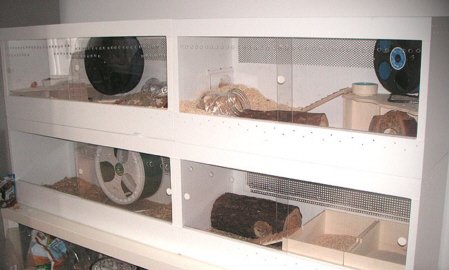 Nagerterrarium für Kleintiere